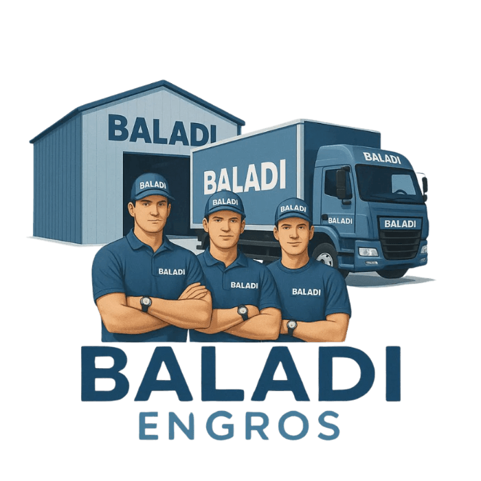 Baladi Engros Logo